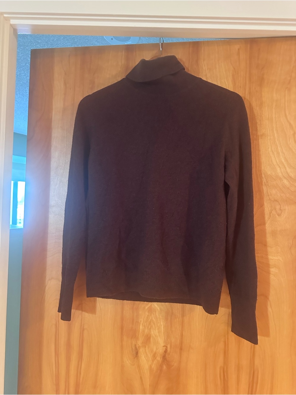 Everlane Brown Turtleneck Knit Sweater